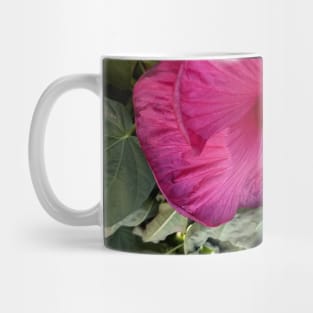 flower red pink green photo Mug